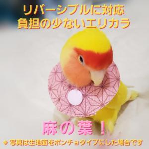 インコ エリザベスカラー(麻の葉) 1枚・3サイズ・4ｇ