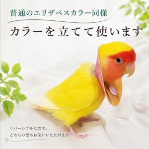 鳥 エリザベスカラー(麻の葉) 1枚・3サイズ・4gの詳細画像1