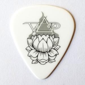 Jim Dunlop ギターピック スティーヴ ヴァイ 483C M01 STEVE VAI アーティストピック