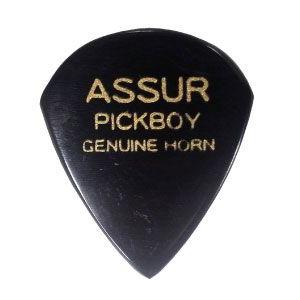 PICKBOY ギター ピック アシュラピック ホーン GP-AS/1