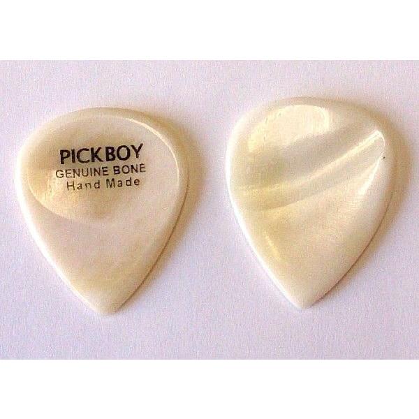 PICKBOY ピック ボーン GP-BN/1