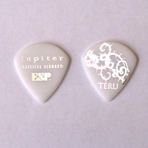 MY FIRST STORY ピック（TERU.NOBU) 2026年最新】my first story ピックの人気アイテム - メルカリ