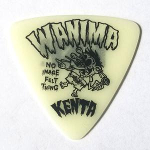 ESP ESP ピック KENTA (WANIMA) PA-WK10-7 / DPI アーティストピック