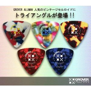 Ibanez アイバニーズ 奥田民生 ピック TAMIO-A2 アーティストピック