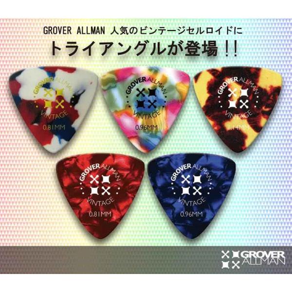 グローバーオールマン　ピック　ビンテージセルロイド　ラージ・トライアングル　オニギリ型