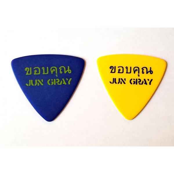 SCHECTER　ピック JUN GRAY / Ken Yokoyama Band SPA-JG ア...