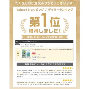 ビニールハウス ガーデンハウス ミニ 温室 フ...の詳細画像1
