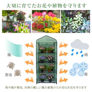 ビニールハウス ガーデンハウス ミニ 温室 フ...の詳細画像3
