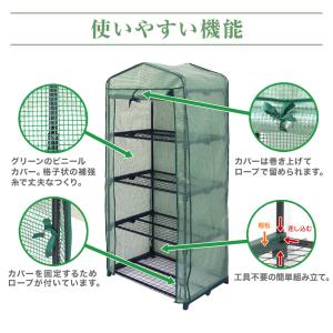 ビニールハウス ガーデンハウス ミニ 温室 フ...の詳細画像5