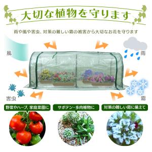 ビニールハウス 家庭用 ガーデンハウス ミニ ...の詳細画像3