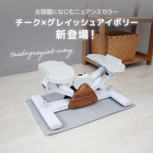 ステッパー ツイスト サイドステッパー エアロ...の詳細画像2