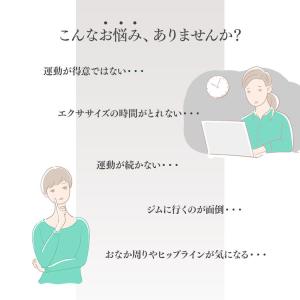 ステッパー ツイスト サイドステッパー エアロ...の詳細画像4