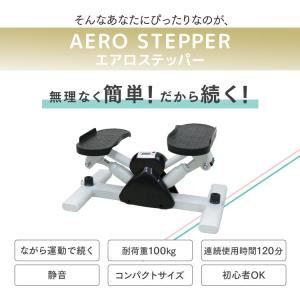 ステッパー ツイスト サイドステッパー エアロ...の詳細画像5