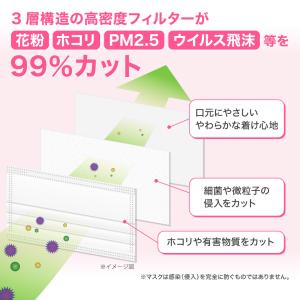 小さめ マスク 50枚 99%カットフィルター...の詳細画像2
