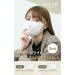 マスク 不織布 冷感 立体マスク おしゃれ 2...の詳細画像1