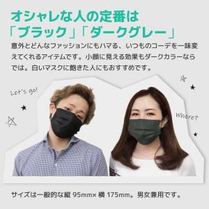 マスク 不織布マスク 黒 グレー 50枚 ブラ...の詳細画像2