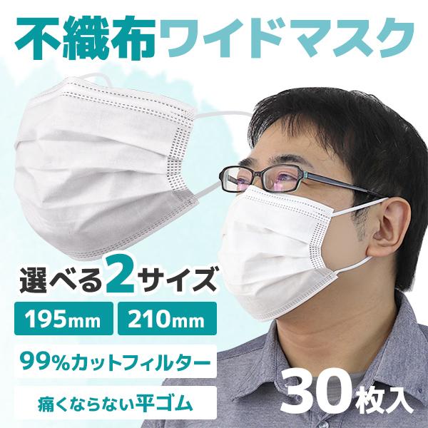 マスク 不織布マスク 大きめサイズ 選べる2サイズ 30枚 10枚ずつ個包装 三層構造 不織布 マス...