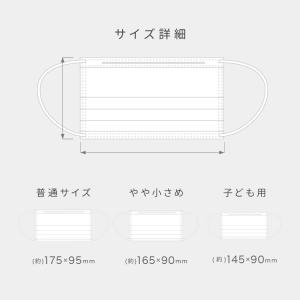 マスク 不織布 50枚 おしゃれ バイカラー ...の詳細画像2