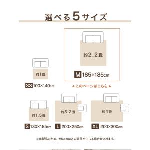 ラグ カーペット 洗える 2畳 185×185...の詳細画像3