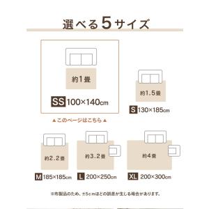 ラグ カーペット ラグマット 洗える 夏用 約...の詳細画像3