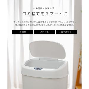 ゴミ箱 おしゃれゴミ箱 45リットル対応 分別...の詳細画像3