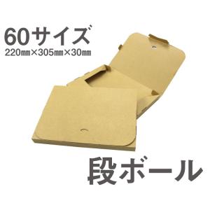 ネコポス 箱100枚 3cm対応 ダンボール ...の詳細画像1