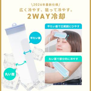 クーポン利用で1000円 氷嚢 魔法瓶 持ち運...の詳細画像3