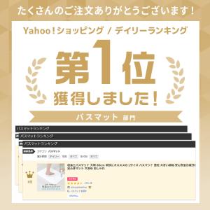 珪藻土バスマット 速乾 大判 60cm Lサイ...の詳細画像1