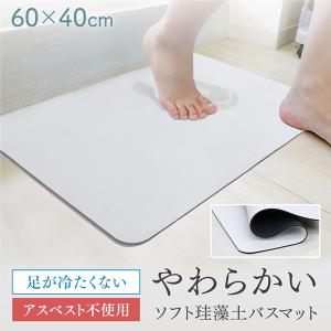 バスマット 珪藻土 ソフト やわらか 大判 40×60cm 速乾