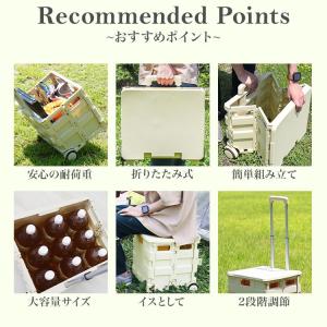 キャリーカート 折りたたみ ショッピングカート...の詳細画像3