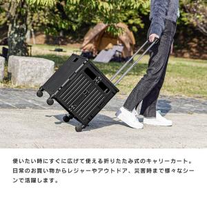 ショッピングカート おしゃれ キャリーカート ...の詳細画像3
