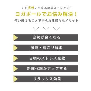 ヨガポール ストレッチ エクササイズポール ロ...の詳細画像3