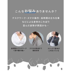 ヨガポール ハーフ ショート ストレッチ 2本...の詳細画像3