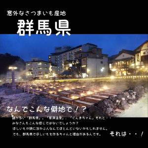 ほしいも「あめいろ美人」4個セット 480g ...の詳細画像2