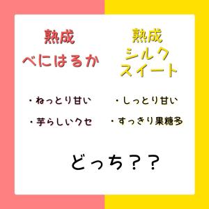 ほしいも「あめいろ美人」4個セット 480g ...の詳細画像4