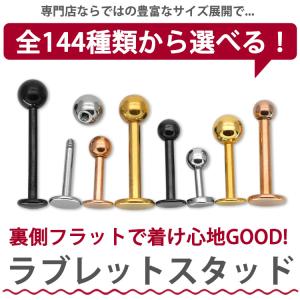 ボディピアス 18G 16G 14G 軟骨 つ...の詳細画像1