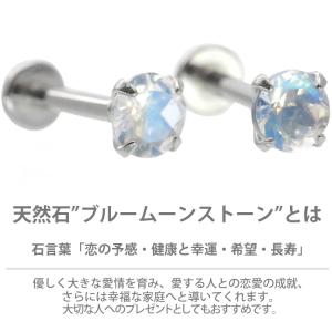 ボディピアス 軟骨ピアス 16g 18g 14...の詳細画像3