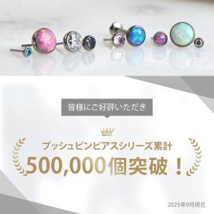 ボディ ピアス プッシュピン ピアス 軟骨 つ...の詳細画像1