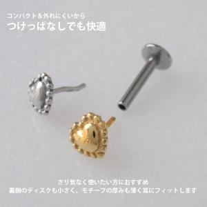 ボディピアス 20G 18G 16G 軟骨ピア...の詳細画像5