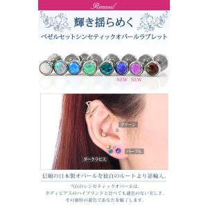 ボディピアス 18G 16G 14G ベゼルセ...の詳細画像1