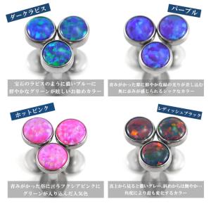 ボディピアス 18G 16G 14G ベゼルセ...の詳細画像4