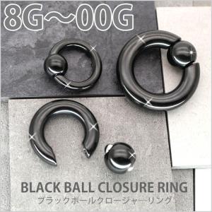 ボディピアス 8G 6G 4G 2G 0G 0...の詳細画像1