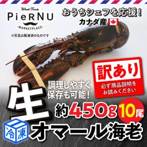【冷凍】訳あり生オマール海老 （カナダ産） 約500g×10尾