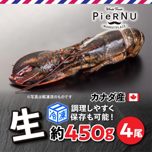 【冷凍】生オマール海老（カナダ産）　4尾(約450g×4）