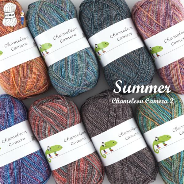 毛糸 【867】 カメレオンカメラ 2 サマー ソックヤーン 1玉 輸入糸 毛糸ピエロ　キャンセル不...