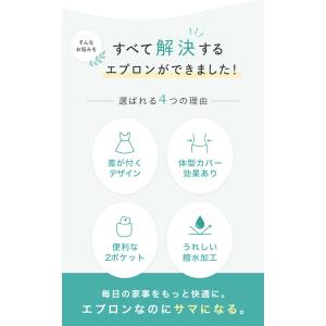 エプロン おしゃれ 保育士 エプロンドレス ワ...の詳細画像2