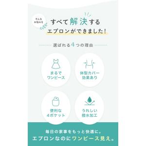 エプロン おしゃれ カフェ ティアード 黒 撥...の詳細画像2