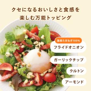 ピエトロ パットフッテ フライドオニオン&ガー...の詳細画像2