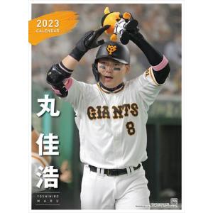 【おまけCL付】新品 丸佳浩（読売ジャイアンツ） 2023年カレンダー 23CL-0568｜pigeon-cd