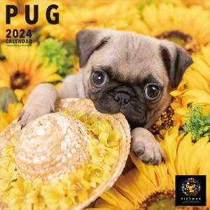【おまけCL付】パグ PICTWAN (ピクトワン) カレンダー DOG 【L版】 2024年カレンダー 24CL-50021L｜pigeon-cd